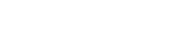 Pay.Bidcar.by