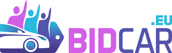 Pay.Bidcar.by
